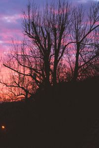 Preview wallpaper tree, night, sky, sunset