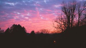 Preview wallpaper tree, night, sky, sunset