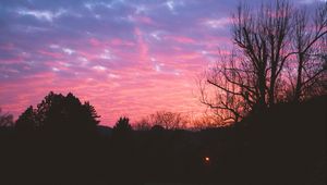 Preview wallpaper tree, night, sky, sunset