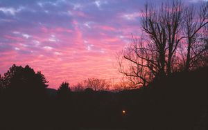 Preview wallpaper tree, night, sky, sunset