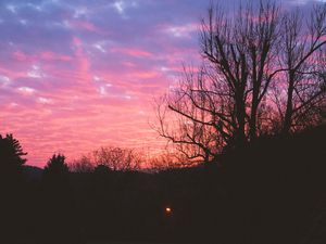 Preview wallpaper tree, night, sky, sunset