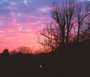 Preview wallpaper tree, night, sky, sunset
