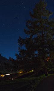Preview wallpaper tree, night, starry sky, grass