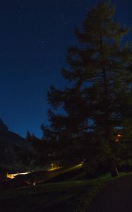 Preview wallpaper tree, night, starry sky, grass