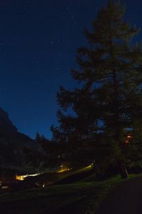 Preview wallpaper tree, night, starry sky, grass