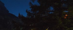 Preview wallpaper tree, night, starry sky, grass