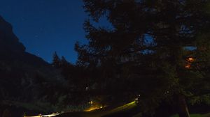 Preview wallpaper tree, night, starry sky, grass