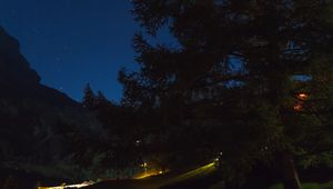 Preview wallpaper tree, night, starry sky, grass