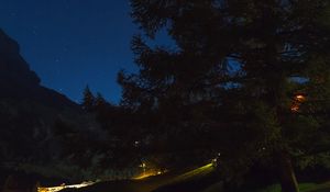 Preview wallpaper tree, night, starry sky, grass