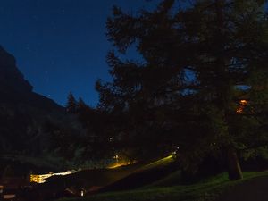 Preview wallpaper tree, night, starry sky, grass