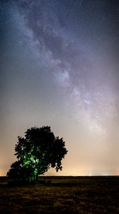 Preview wallpaper tree, night, starry sky, plain, landscape