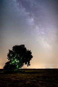 Preview wallpaper tree, night, starry sky, plain, landscape