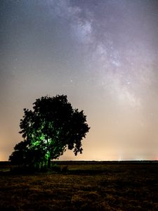 Preview wallpaper tree, night, starry sky, plain, landscape