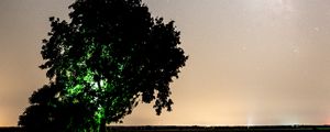 Preview wallpaper tree, night, starry sky, plain, landscape