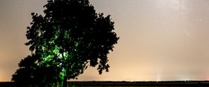 Preview wallpaper tree, night, starry sky, plain, landscape