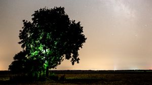 Preview wallpaper tree, night, starry sky, plain, landscape