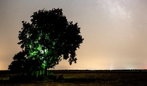 Preview wallpaper tree, night, starry sky, plain, landscape