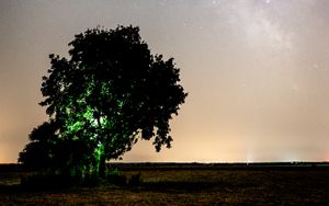 Preview wallpaper tree, night, starry sky, plain, landscape