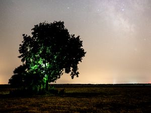 Preview wallpaper tree, night, starry sky, plain, landscape