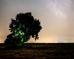 Preview wallpaper tree, night, starry sky, plain, landscape