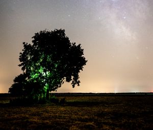 Preview wallpaper tree, night, starry sky, plain, landscape