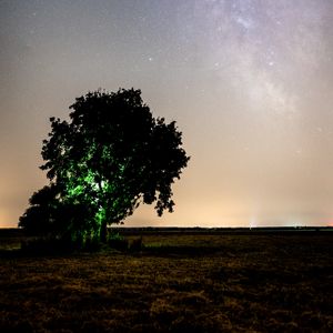 Preview wallpaper tree, night, starry sky, plain, landscape