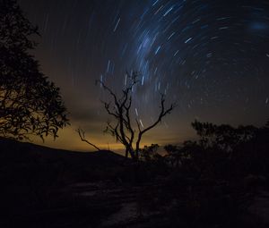 Preview wallpaper tree, night, starry sky, movement