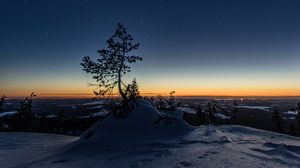 Preview wallpaper tree, night, starry sky, snow, snowy