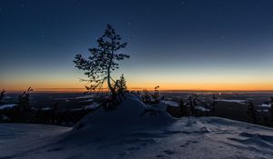 Preview wallpaper tree, night, starry sky, snow, snowy