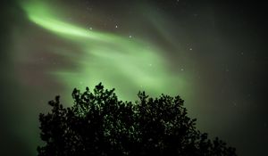 Preview wallpaper tree, northern lights, starry sky, night, dark