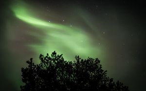 Preview wallpaper tree, northern lights, starry sky, night, dark