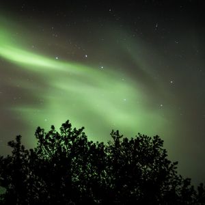 Preview wallpaper tree, northern lights, starry sky, night, dark