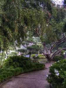 Preview wallpaper tree nursery, flowers, trees, bamboo, path, colors