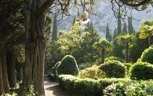 Preview wallpaper tree nursery, garden, bird, flight, wings, scope