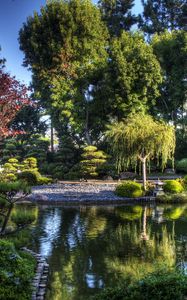 Preview wallpaper tree nursery, pond, bridge, green, sky, blue