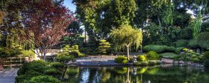 Preview wallpaper tree nursery, pond, bridge, green, sky, blue