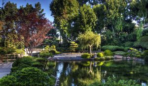 Preview wallpaper tree nursery, pond, bridge, green, sky, blue