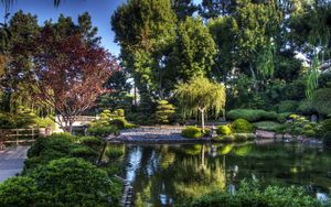 Preview wallpaper tree nursery, pond, bridge, green, sky, blue