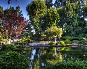 Preview wallpaper tree nursery, pond, bridge, green, sky, blue