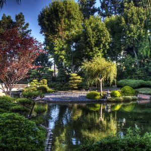 Preview wallpaper tree nursery, pond, bridge, green, sky, blue