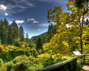 Preview wallpaper tree nursery, trees, platform, plate, brightly