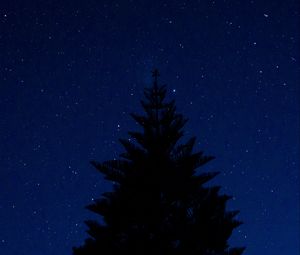 Preview wallpaper tree, outline, starry sky, night, tops