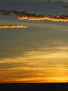 Preview wallpaper tree, outlines, evening, clouds, lonely, horizon