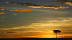 Preview wallpaper tree, outlines, evening, clouds, lonely, horizon