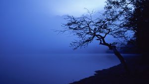 Preview wallpaper tree, outlines, lake, night, surface of the water