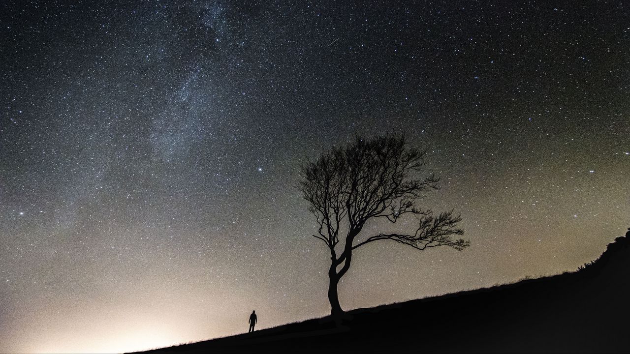 Wallpaper tree, people, silhouettes, slope, starry sky, night