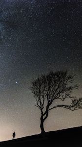Preview wallpaper tree, people, silhouettes, slope, starry sky, night