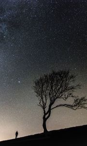 Preview wallpaper tree, people, silhouettes, slope, starry sky, night