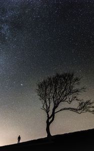 Preview wallpaper tree, people, silhouettes, slope, starry sky, night