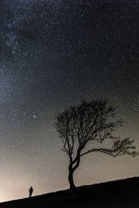 Preview wallpaper tree, people, silhouettes, slope, starry sky, night